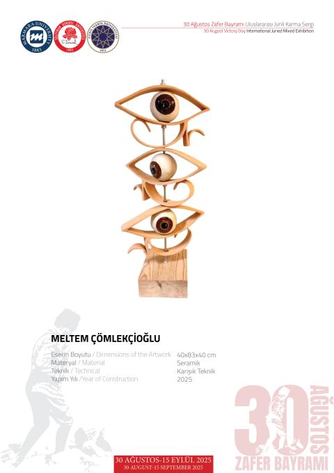 MELTEM ÇÖMLEKÇİOĞLU
